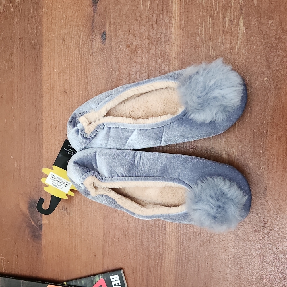 Blue house slippers-large